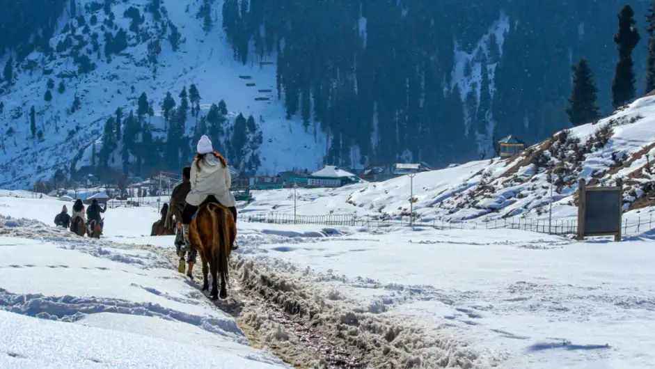 kashmir