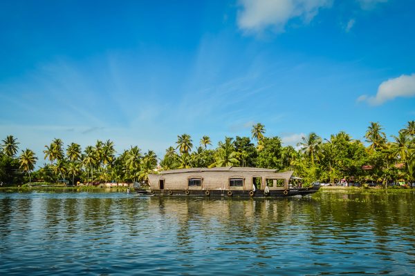 104858-tourist_attraction-lake-resort-munnar-tree-2880x1800