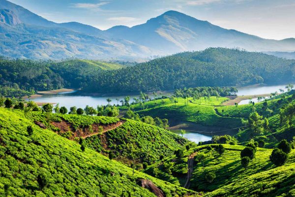 Tea plantations and Muthirappuzhayar River in hills near Munnar, Kerala, India